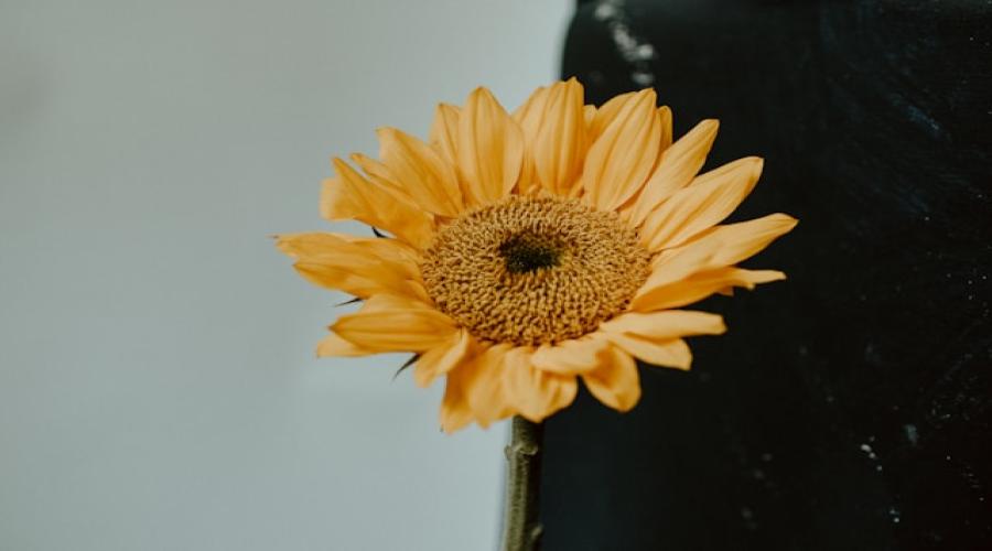 news-banner